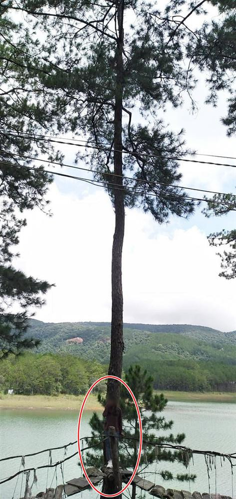 Thay vì đứng ở giữa chiếc cầu và lấy toàn cảnh bờ hồ thì anh chàng này lại chọn vị trí khuất bên trong gốc cây cho cô bạn gái. Đáng chú ý hơn màu áo của cô gái lại trùng với màu sắc gốc cây nên chẳng biết được đâu là người, đâu là cảnh…