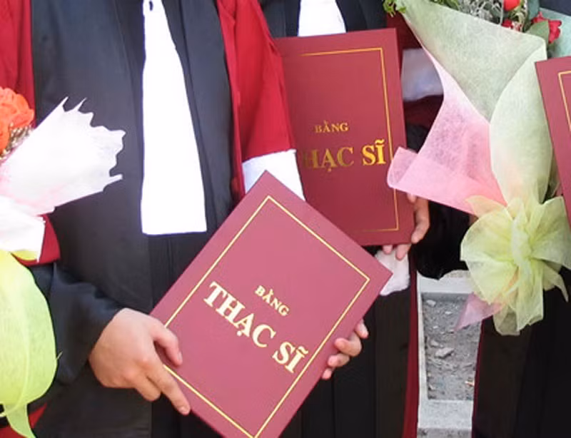 Dao tao vuot nghin chi tieu tien si va thac si, Vien Han lam bi thanh tra