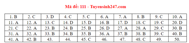 Dap an 24 ma de thi mon Toan ky thi tot nghiep THPT 2020-Hinh-16