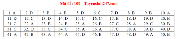 Dap an 24 ma de thi mon Toan ky thi tot nghiep THPT 2020-Hinh-14
