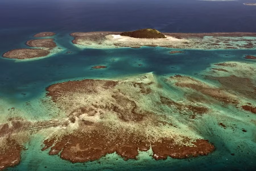 “Đây là một ví dụ về việc một điều gì đó rõ ràng nhưng phải mất một thời gian mới phát hiện ra”, ông Andy Tulloch, một trong những nhà nghiên cứu đã phát hiện ra lục địa này và là nhà địa chất tại GNS Science, thuộc Viện Nghiên cứu Hoàng gia New Zealand, cho biết.