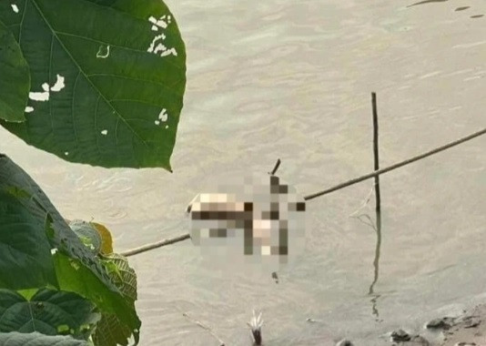 Vụ thi thể cô gái bị phân 4 mảnh trên sông Hồng: Đã bắt được nghi phạm Vu thi the co gai bi phan 4 manh tren song Hong: Da bat duoc nghi pham