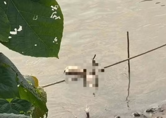 Vụ thi thể cô gái bị phân 4 mảnh trên sông Hồng: Đã bắt được nghi phạm Vu thi the co gai bi phan 4 manh tren song Hong: Da bat duoc nghi pham