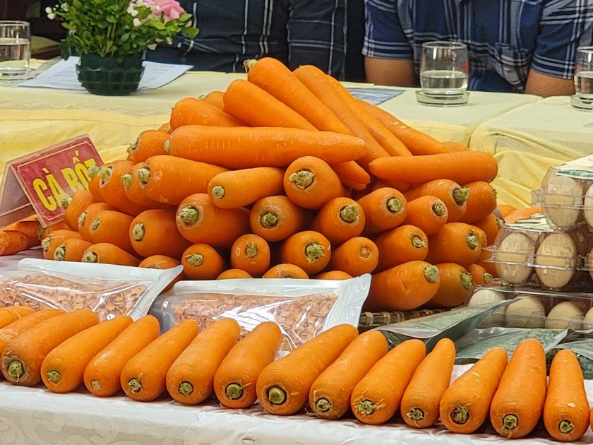 Hai Duong: Nang cao gia tri, thuong hieu nong san, mo rong thi truong xuat khau-Hinh-4