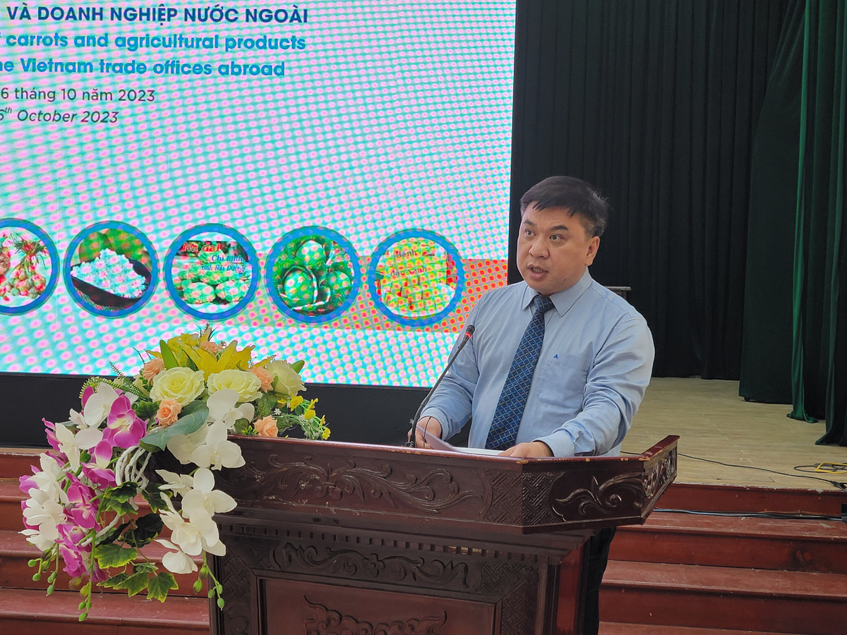 Hai Duong: Nang cao gia tri, thuong hieu nong san, mo rong thi truong xuat khau-Hinh-6