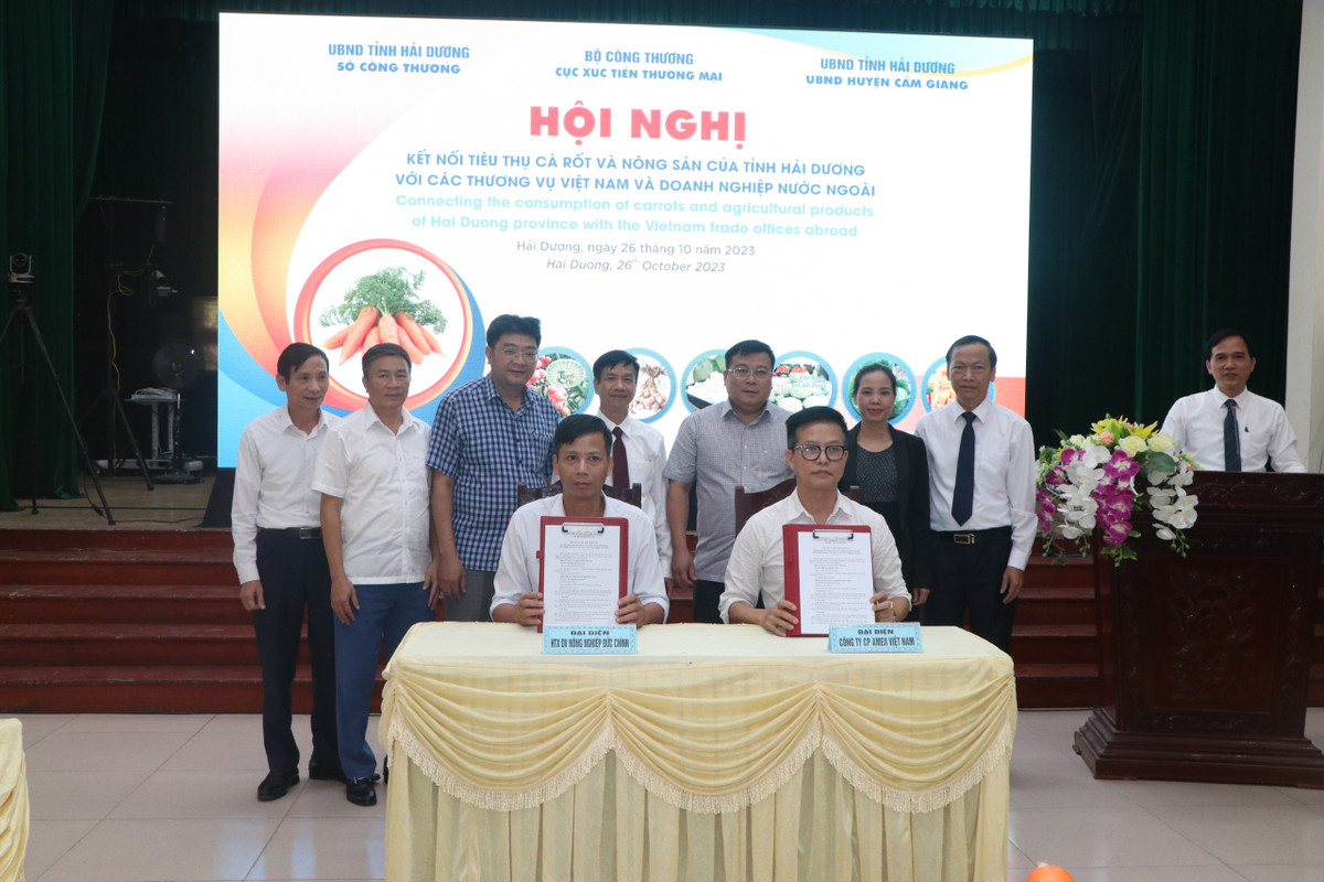 Hai Duong: Nang cao gia tri, thuong hieu nong san, mo rong thi truong xuat khau-Hinh-7