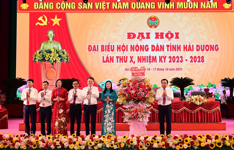 Hai Duong co tan Chu tich Hoi Nong dan tinh khoa X