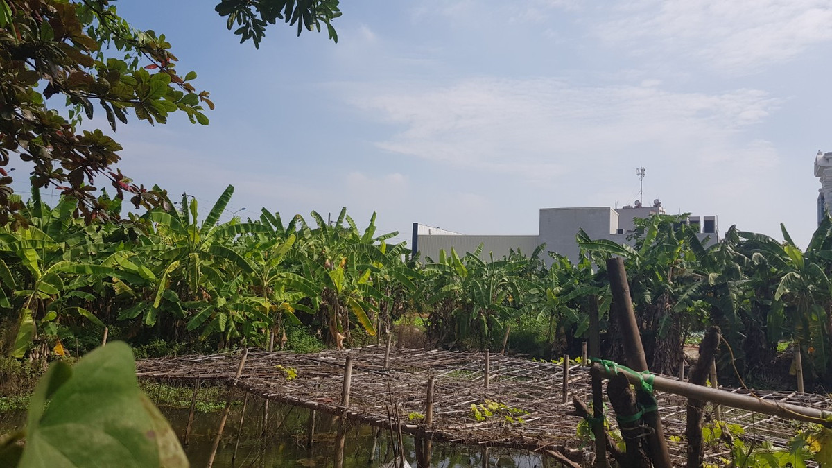 Tuy nhiên, Sở Kế hoạch và Đầu tư tỉnh Hải Dương cho rằng, dự án doanh nghiệp xin chủ trương đầu tư là không phù hợp do vị trí đề xuất đầu tư khi triển khai thực hiện theo quy hoạch sẽ phải thực hiện đấu giá quyền sử dụng đất. 