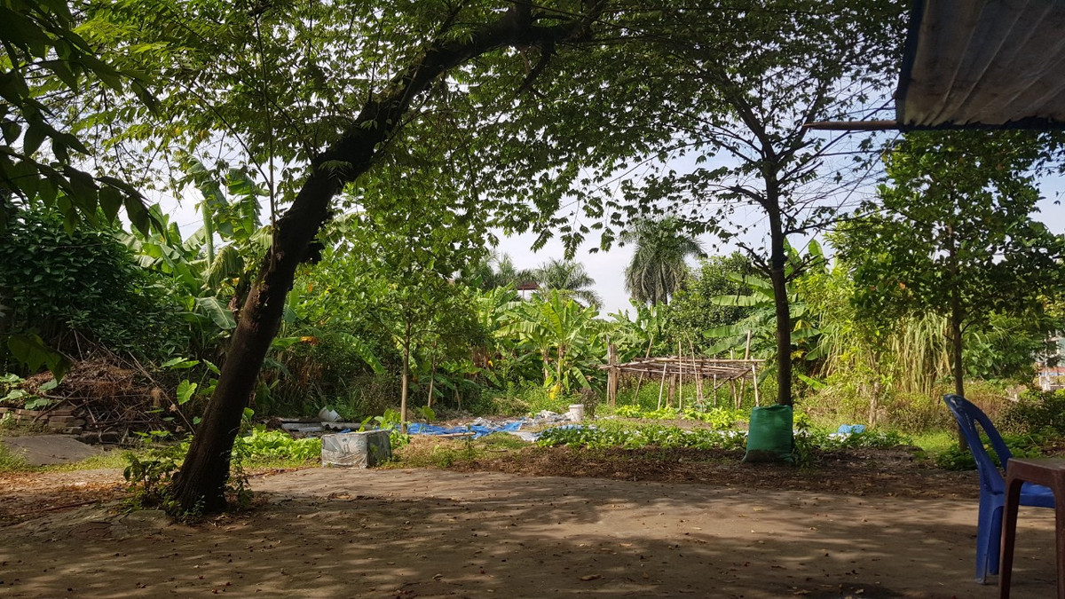 Phó Chủ tịch Thường trực UBND tỉnh Hải Dương yêu cầu Sở Tài nguyên và Môi trường chủ trì, đánh giá hiệu quả sử dụng đất và trách nhiệm của nhà đầu tư cũ. UBND thành phố Hải Dương phối hợp với các Sở Tài chính, Xây dựng xác định giá trị chủ đầu tư đã đầu tư. Từ đó tham mưu phương án đấu giá quyền sử dụng đất. Chậm nhất ngày 30/11 tới, Sở Tài nguyên và Môi trường báo cáo UBND tỉnh phương án giải quyết, xử lý đối với khu đất trên, bảo đảm việc sử dụng đất phù hợp, hiệu quả. 