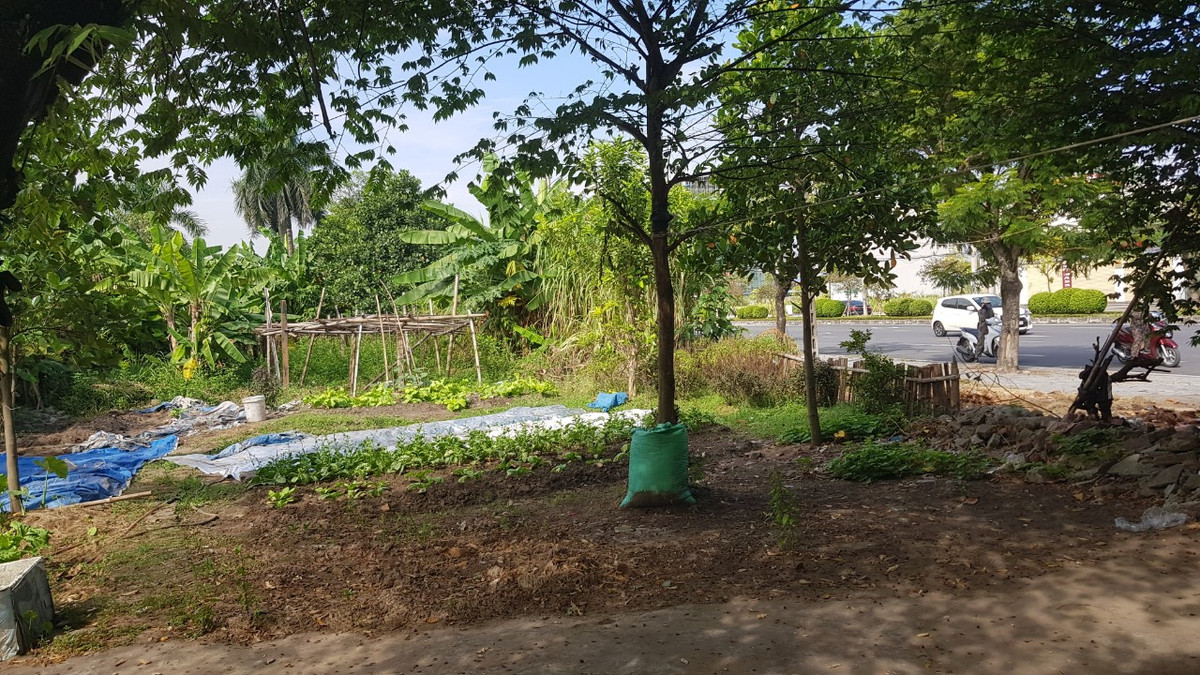 Tình trạng này kéo dài hơn chục năm qua