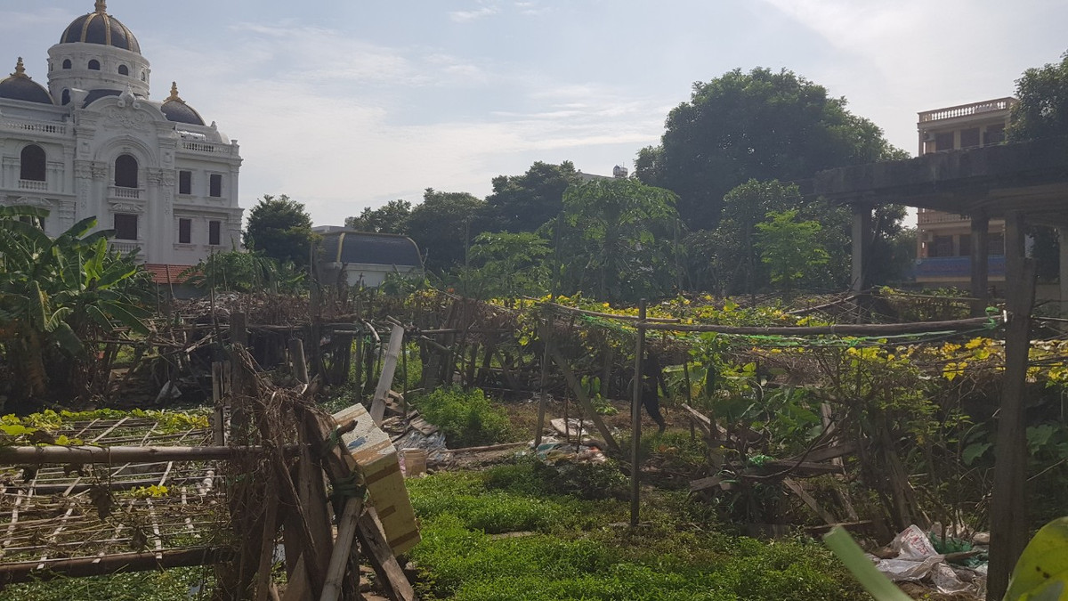 Đến cuối năm 2019, Công ty TNHH một thành viên Xây dựng và Thương mại Thành Khánh đề xuất chủ trương đầu tư dự án kinh doanh thương mại, dịch vụ, cho thuê mặt bằng, hạ tầng kỹ thuật và xây dựng khách sạn ở khu đất trên. 