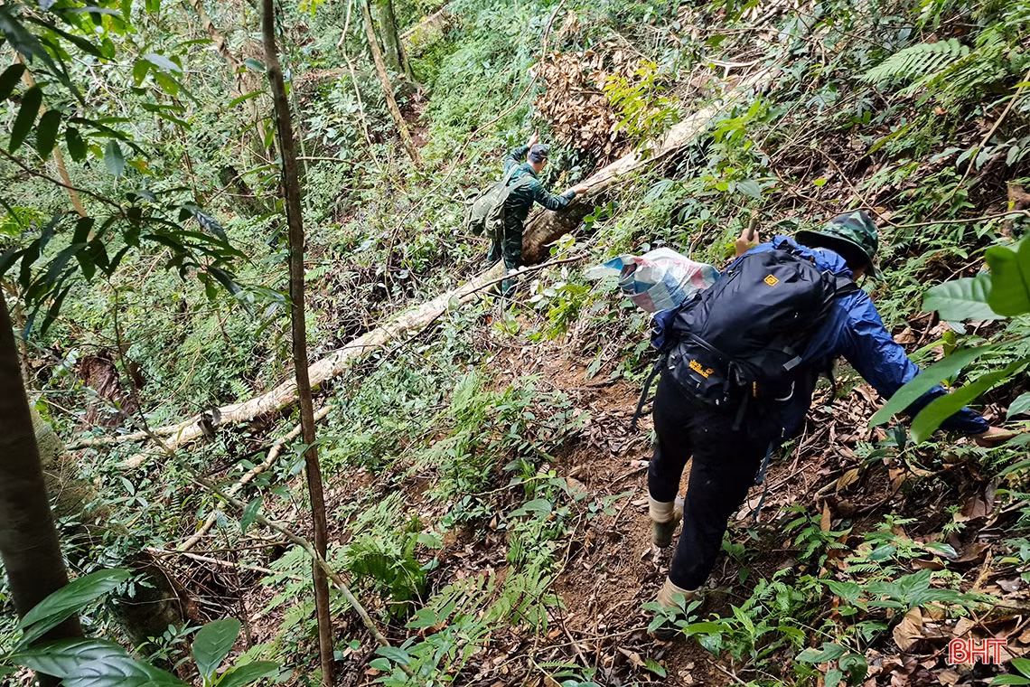 Đó là những cung đường hiểm trở với cây cối rậm rạp...