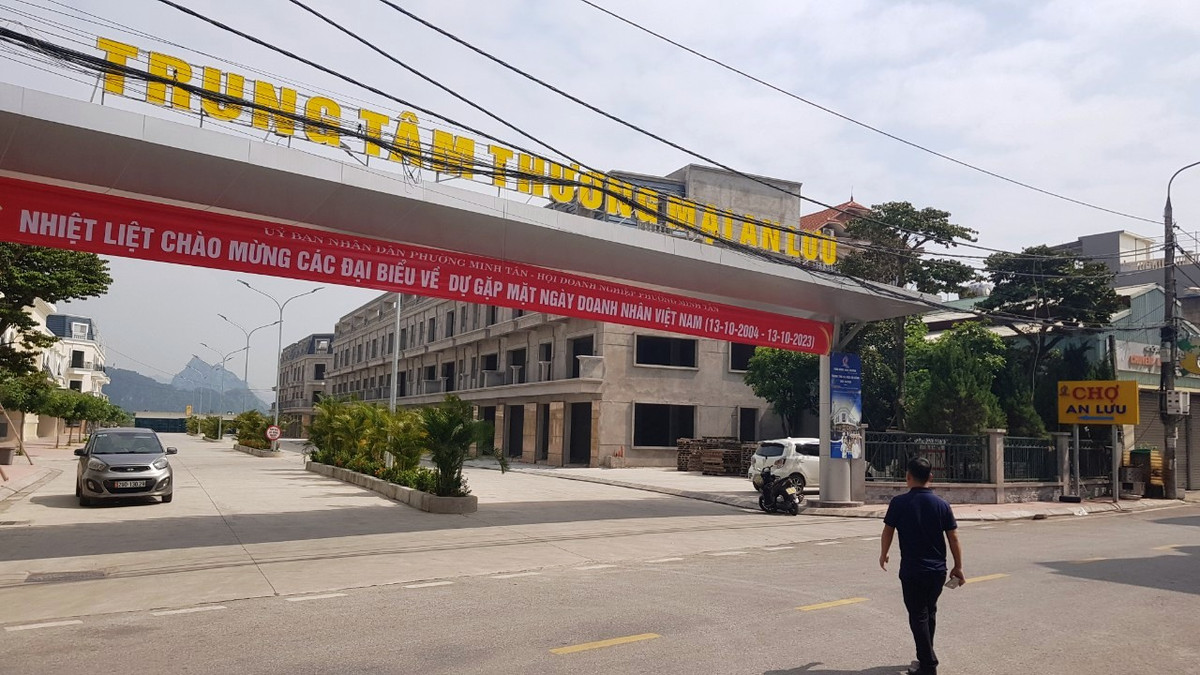 Dự án chợ dân sinh và trung tâm thương mại An Lưu (phường An Lưu, thị xã Kinh Môn, Hải Dương) được quy hoạch trên diện tích đất rộng 23.993,2 m2, có quy mô xây dựng gồm 1 khu chợ trung tâm 3.887,52 m2, 4 tòa nhà thương mại cao 4-5 tầng với tổng diện tích 8.526,98 m2 , còn lại là công trình phụ trợ, giao thông, cây xanh. 