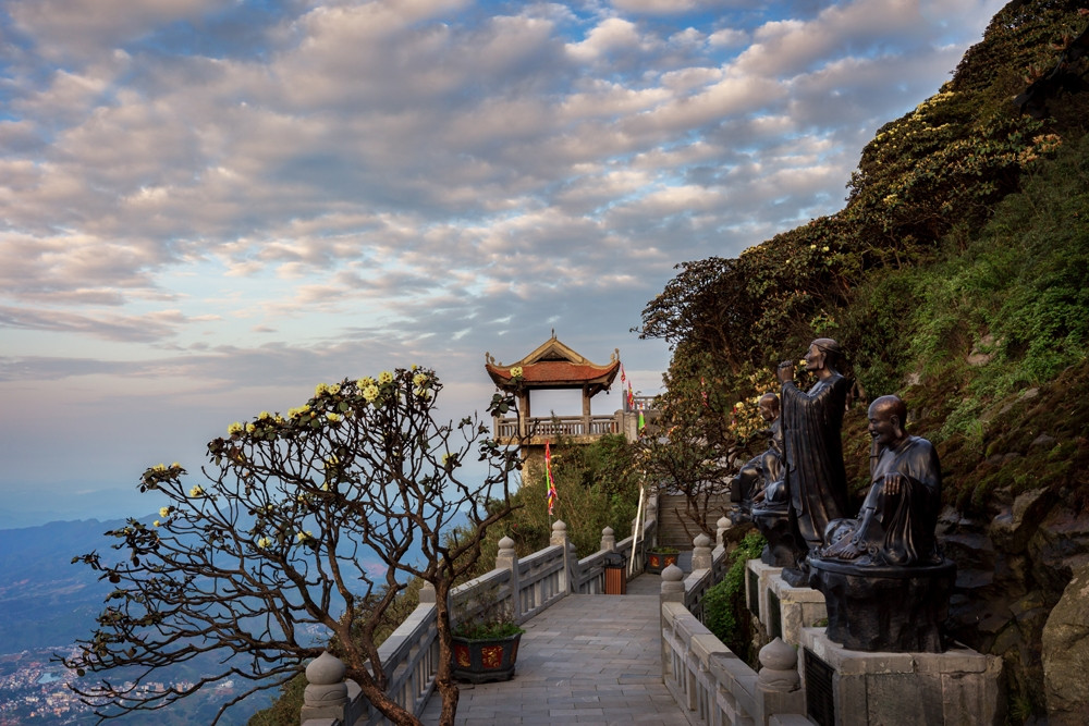 Thời điểm này, đỗ quyên đang vươn mình từ những thân cành khô mọc cheo leo nơi vách đá, dệt thành những thảm hoa màu sắc tuyệt đẹp. Lên đến đỉnh, du khách còn được trải bước trên con đường hoa đỗ quyên dẫn đến những địa điểm tâm linh, hoàn thiện thêm trải nghiệm chiêm bái nơi đỉnh thiêng Fansipan.