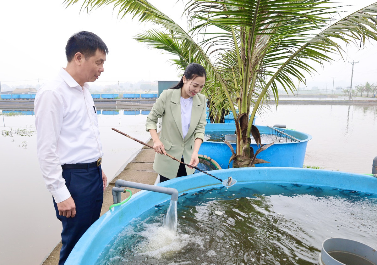 Mo hinh nuoi ca tam ket hop du lich cong dong o Yen Lap