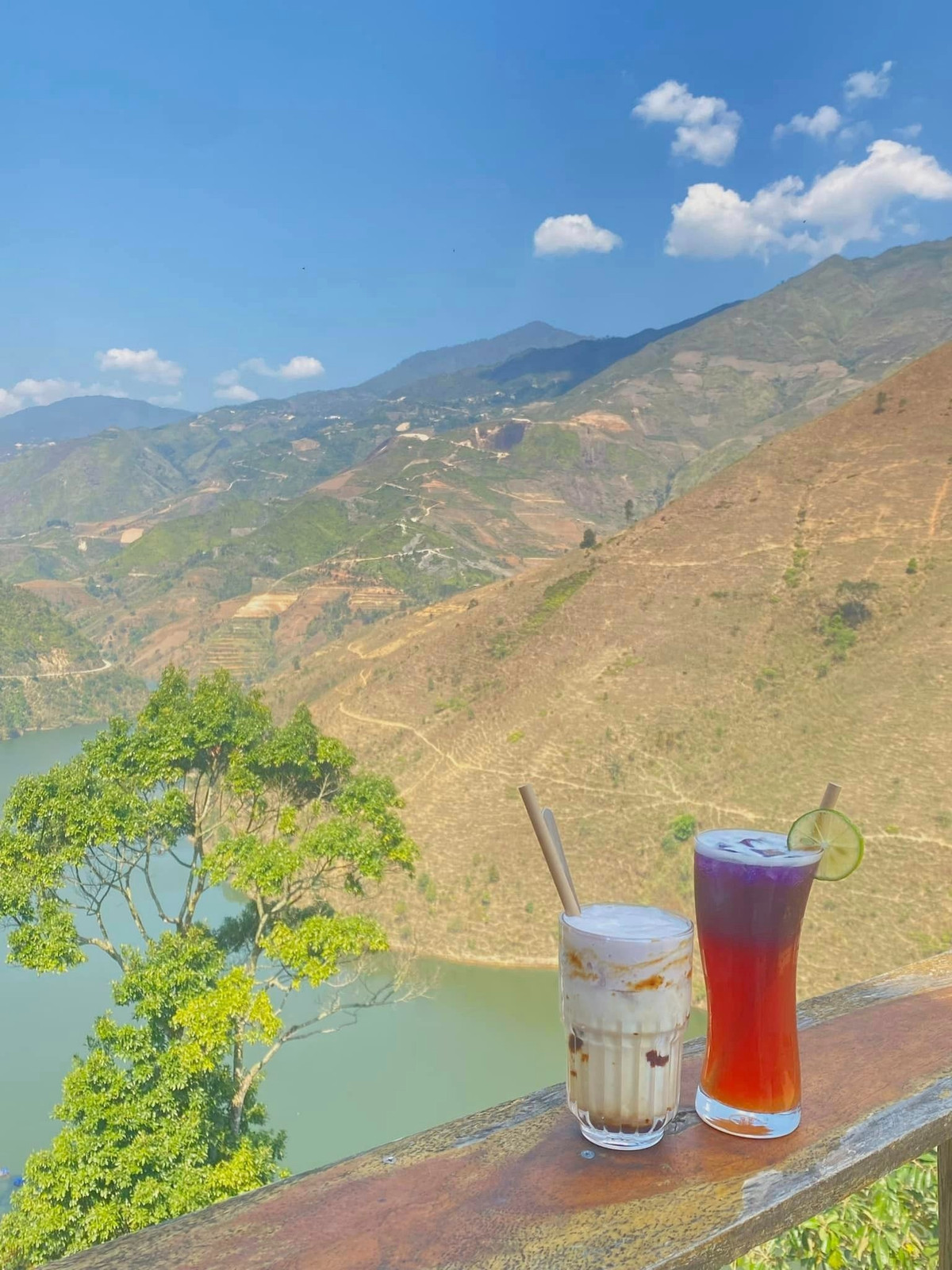 Để tận hưởng trọn vẹn mùa xuân ở “thiên đường mây”, cô nàng đến nơi này vào lúc 6h sáng để đón ánh bình minh. Khung cảnh chào ngày mới hiện lên rất đẹp trước mắt của nữ du khách này.