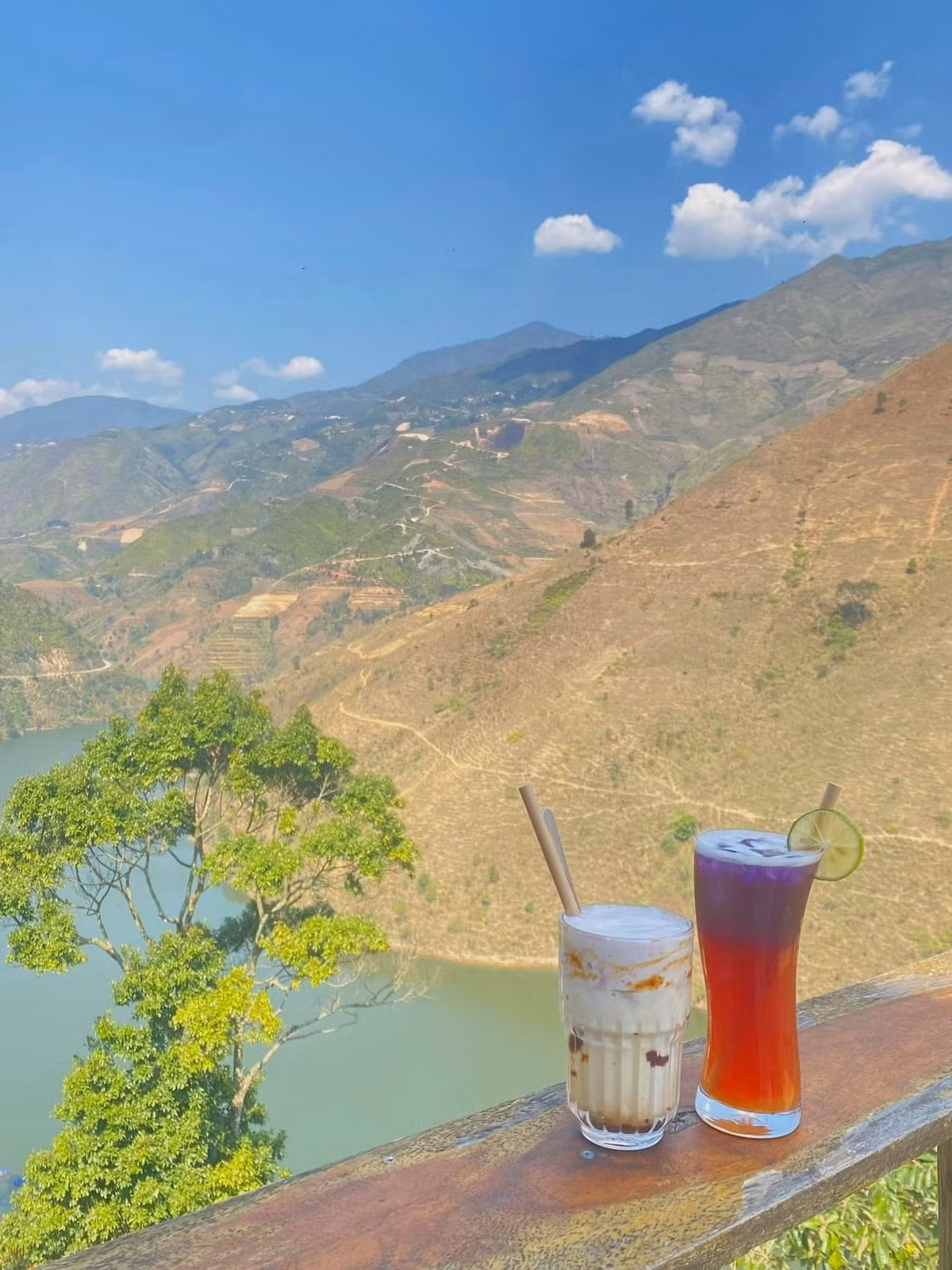 Để tận hưởng trọn vẹn mùa xuân ở “thiên đường mây”, cô nàng đến nơi này vào lúc 6h sáng để đón ánh bình minh. Khung cảnh chào ngày mới hiện lên rất đẹp trước mắt của nữ du khách này.