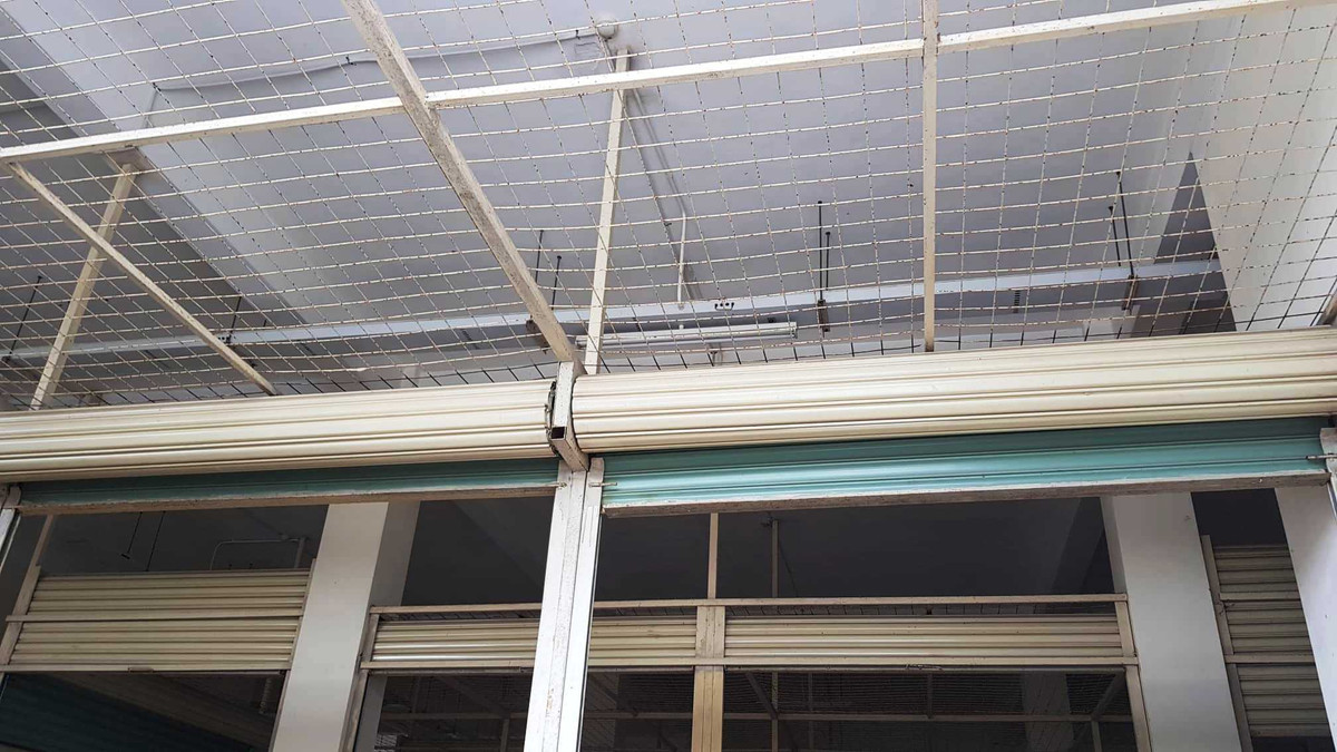 Sieu thi cho Cuoi gan 50 ty bo hoang, xuong cap tram trong o Hai Duong-Hinh-20