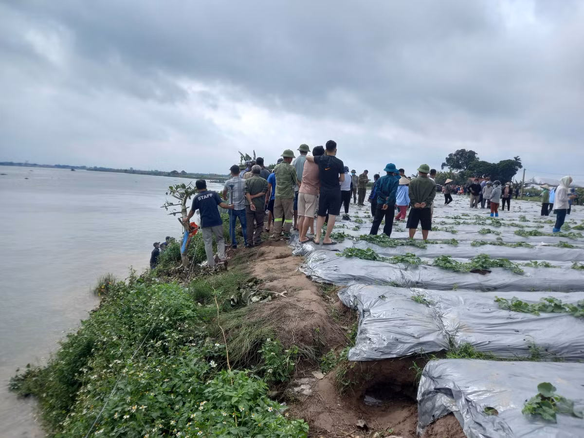 Họ đứng tần ngần bên bờ sông nơi 3 mẹ con chị Th. ngã xuống.