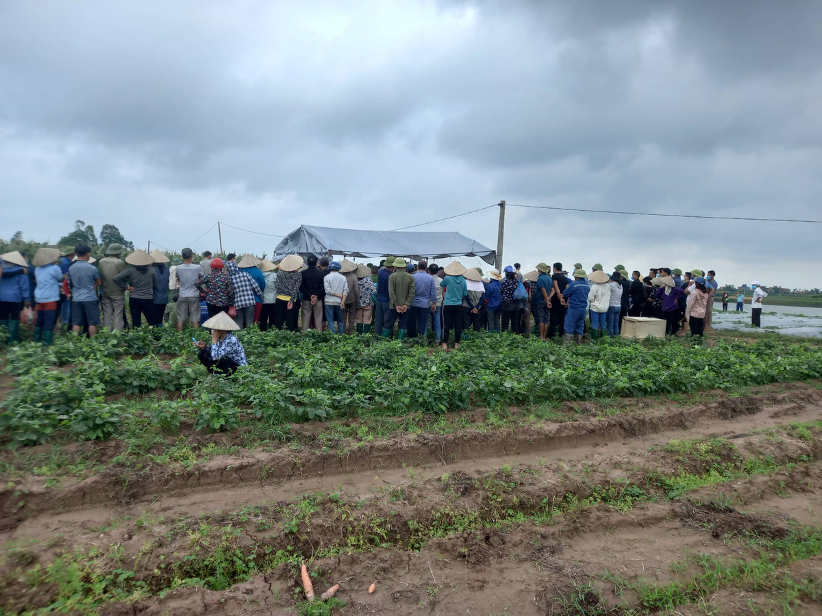 Trước đó, sáng 8/5, chị Th. đưa 2 con nhỏ (một cháu 9 tháng tuổi và 1 cháu 2 tuổi) đi khỏi nhà. Người thân, đồng nghiệp của chị Th. sau đó đã nhận được nhiều tin nhắn của chị với nội dung khá tiêu cực. Khi nhận được tin nhắn, mọi người đã chia nhau đi tìm chị Th. 