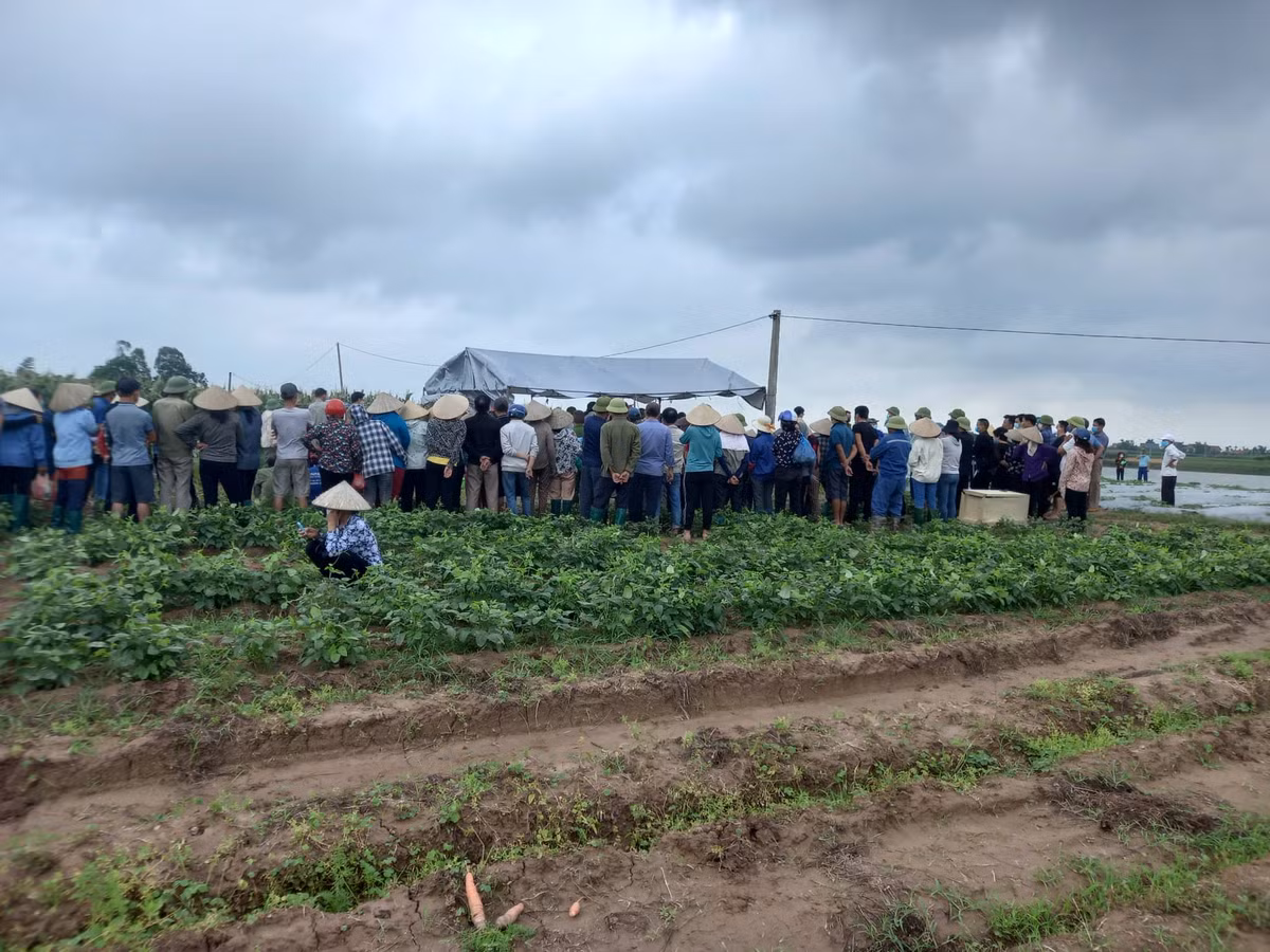 Trước đó, sáng 8/5, chị Th. đưa 2 con nhỏ (một cháu 9 tháng tuổi và 1 cháu 2 tuổi) đi khỏi nhà. Người thân, đồng nghiệp của chị Th. sau đó đã nhận được nhiều tin nhắn của chị với nội dung khá tiêu cực. Khi nhận được tin nhắn, mọi người đã chia nhau đi tìm chị Th. 