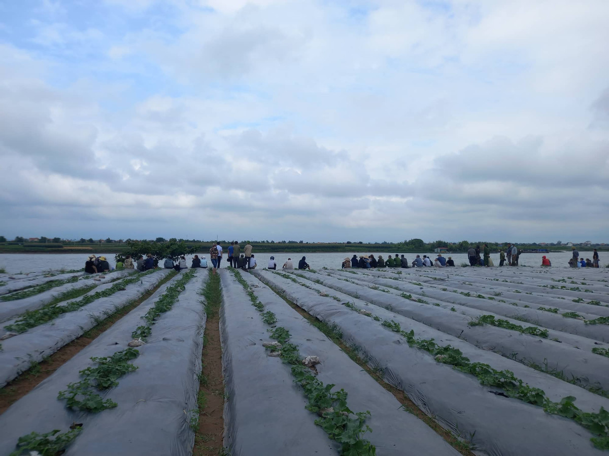 Nhiều người dân theo dõi việc tìm kiếm.