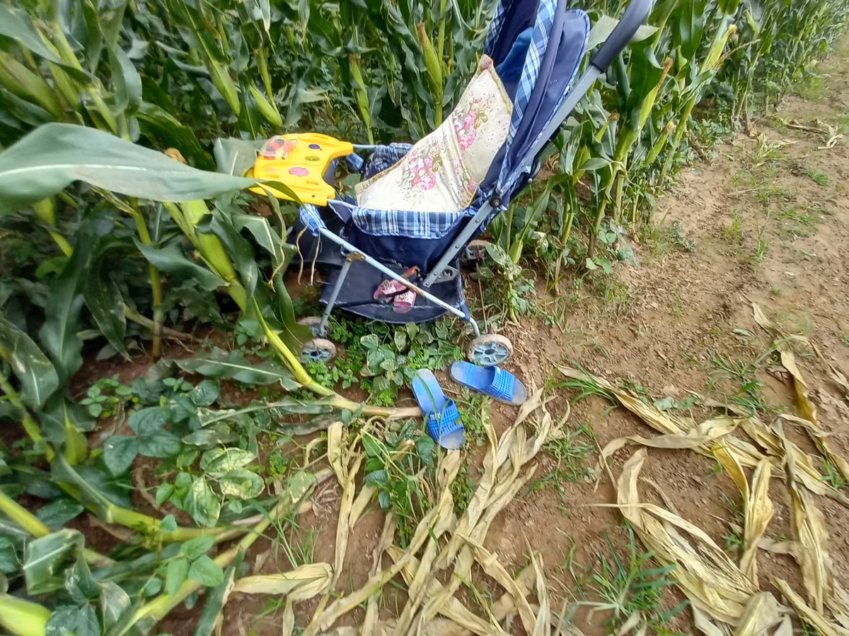 Hải Dương: Đang tìm kiếm 3 mẹ con nghi mất tích ở sông Thái Bình - Hình 2 Hai Duong: Dang tim kiem 3 me con nghi mat tich o song Thai Binh-Hinh-2