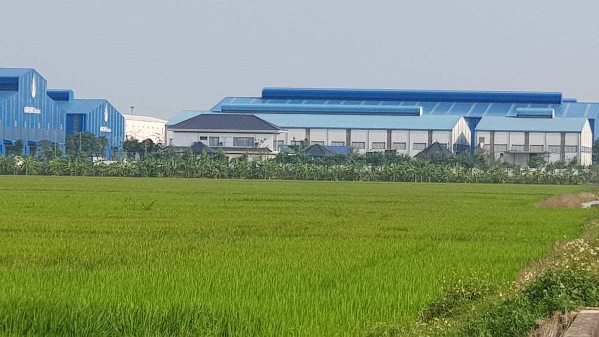 Biet thu xay tren dat nong nghiep o Hai Duong: Huyen Gia Loc yeu cau thao do