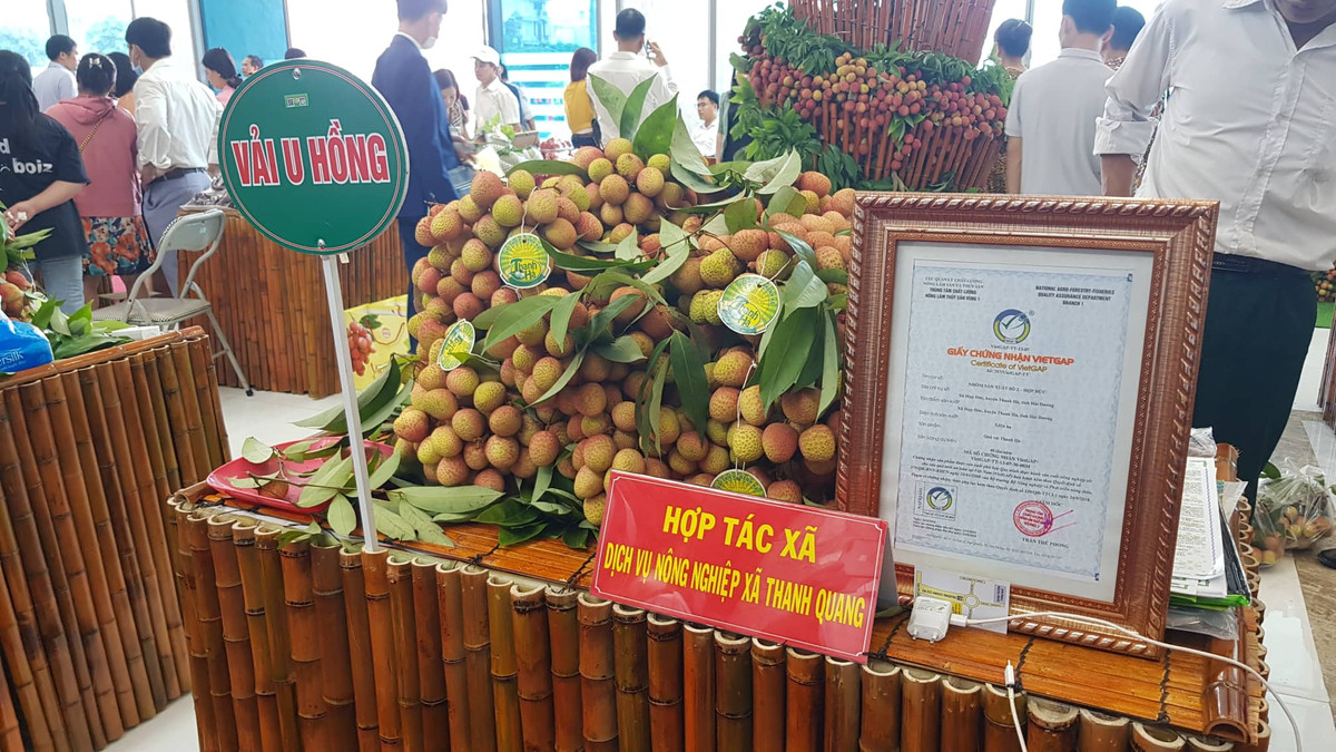 Hai Duong: Day manh xuc tien tieu thu vai thieu, nguoi dan phan khoi...“duoc mua, duoc gia“-Hinh-15