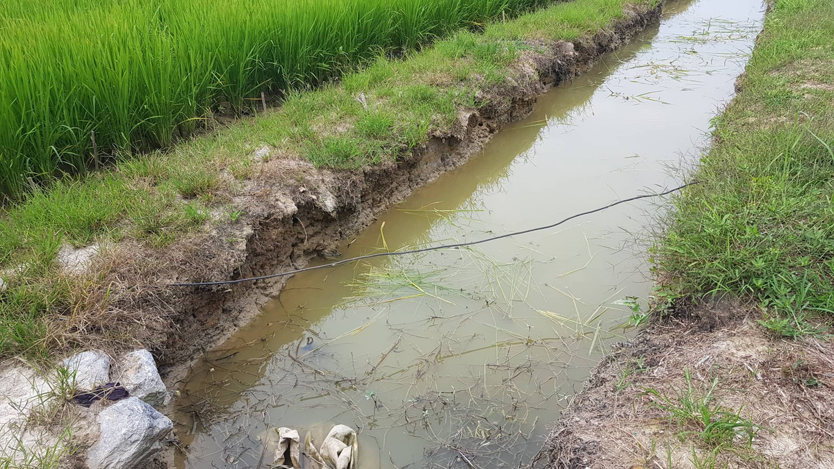 Dây điện vắt qua bờ mương, ngòi, nơi người dân thường xuyên qua lại