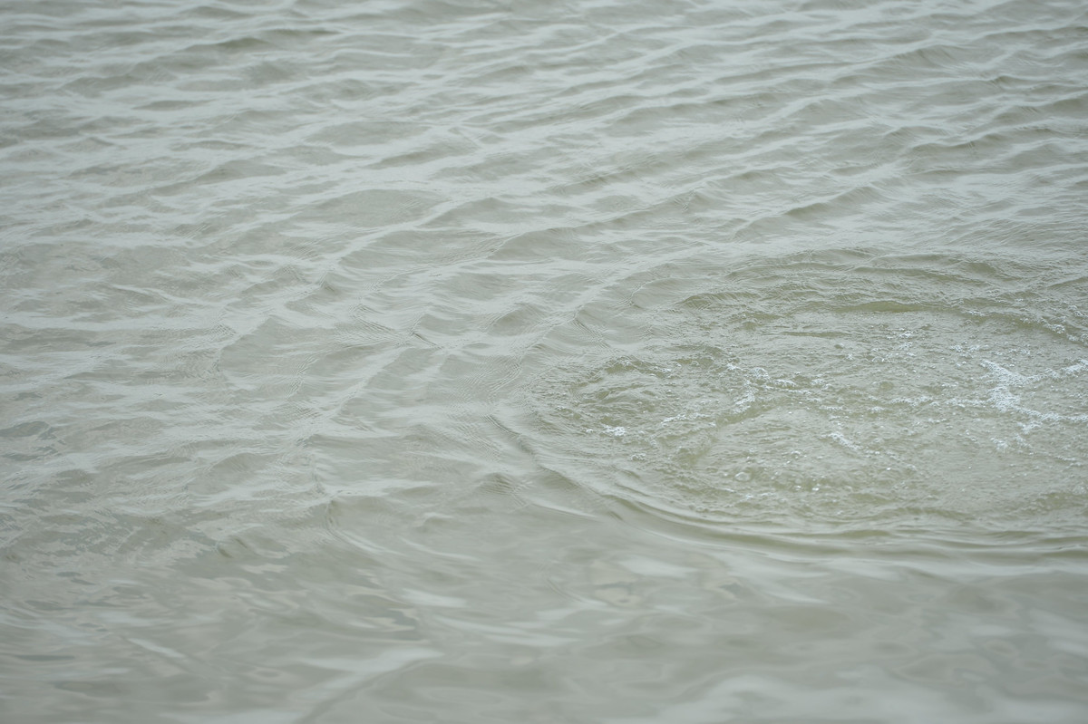 Hiện tại, chính quyền địa phương vẫn đang tổ chức thả lưới, mò lặn khắp cả đoạn sông trong nhiều tiếng đồng hồ, nhưng do sông Thái Bình rộng, gió lớn, nước chảy xiết nên đội thợ lặn gặp nhiều khó khăn.