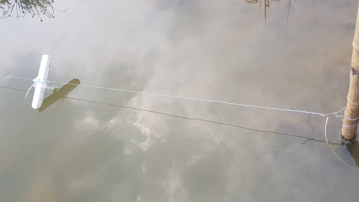 Khi có điện không chỉ chuột chết mà vật nuôi hay con người nếu chạm phải cũng có thể mất mạng.