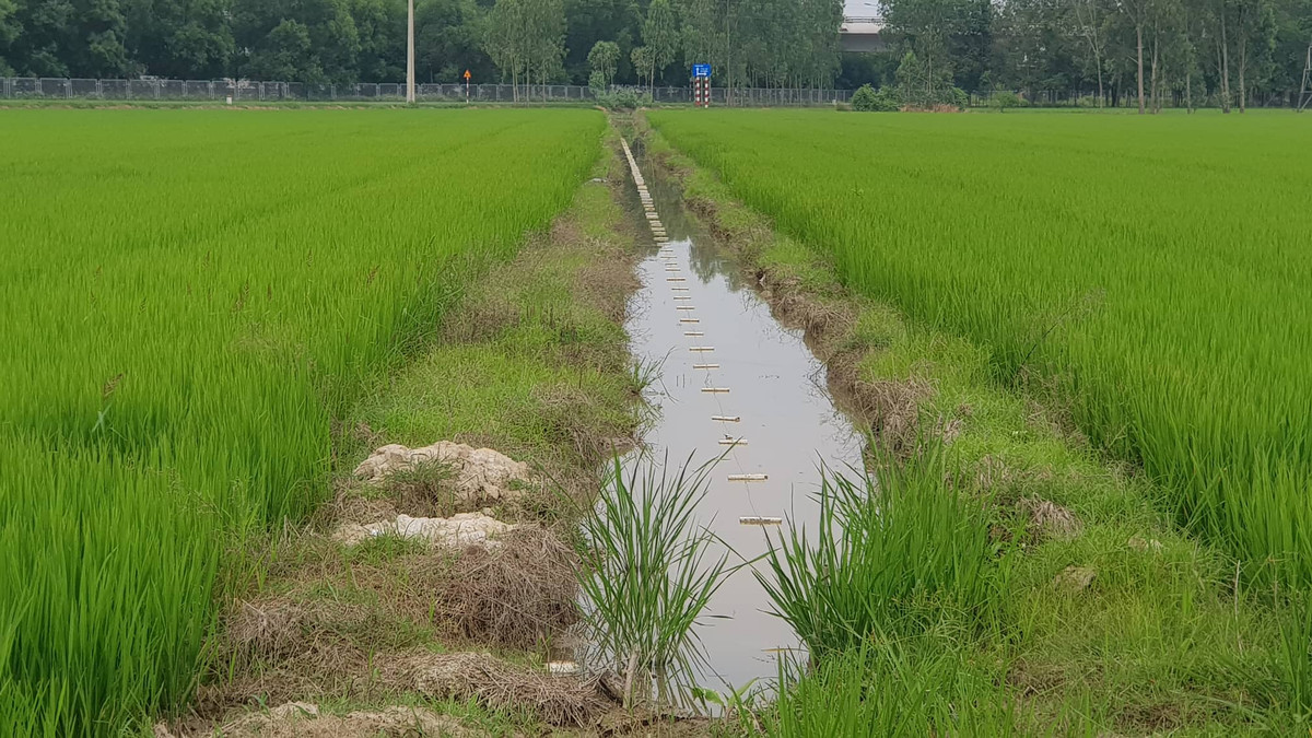 Hệ thống dây thép trần còn được người dân giăng cả xuống mương nước.