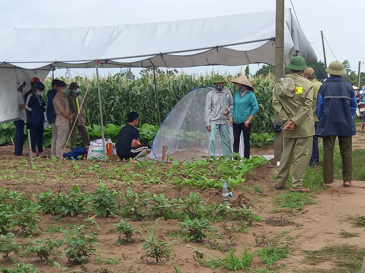 Vu 3 me con giao vien mat tich o Hai Duong: Tim thay 1 thi the