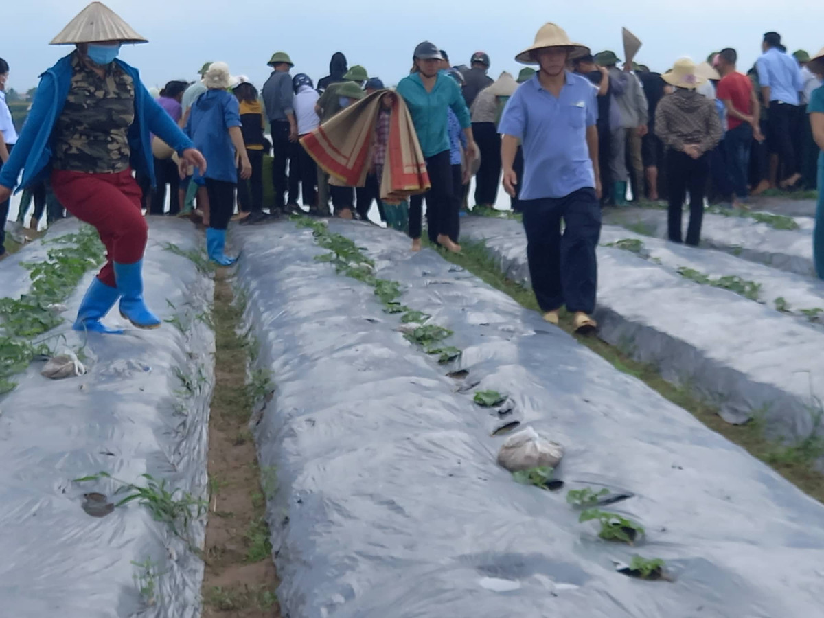 Thời điểm phát hiện thi thể các nạn nhân các khúc sông ngập tiếng khóc của gia đình các nạn nhân cũng như dân làng có mặt. Khi nhận được thông tin chị Th cùng 2 con mất tích, ai cũng nghĩ chị Th. chỉ bế con đi đâu đó nhưng khi phát hiện thi thể các nạn nhân, ai nấy đều bàng hoàng xót thương. 
