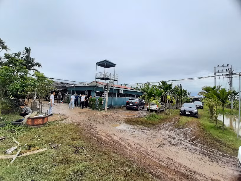 Hai Duong: “Dot kich” trang trai chan nuoi, pha o da ga 41 doi tuong-Hinh-2