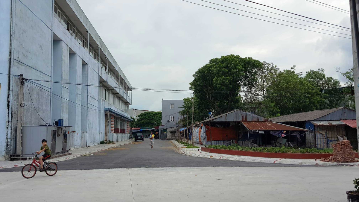 Sieu thi cho Cuoi gan 50 ty bo hoang, xuong cap tram trong o Hai Duong-Hinh-4