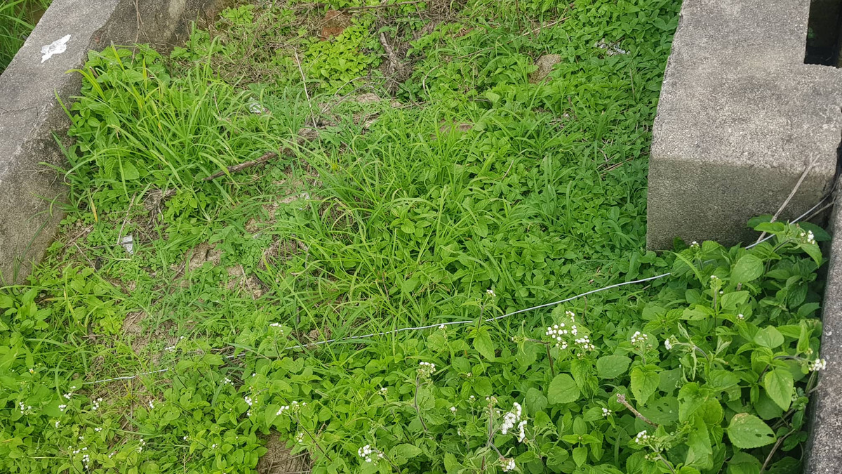 Dây thép trần bắc qua đường đi nội đồng và không có biển hay đồ vật gì để cảnh báo.