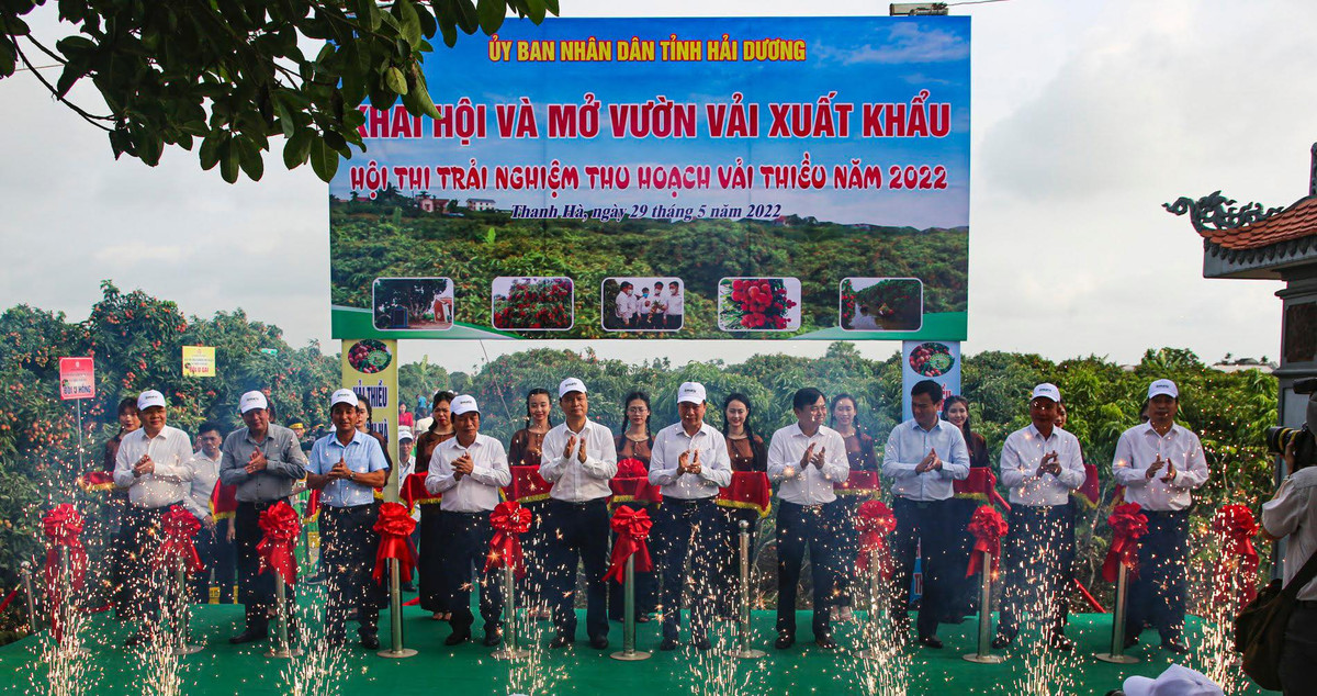 Hai Duong: Day manh xuc tien tieu thu vai thieu, nguoi dan phan khoi...“duoc mua, duoc gia“-Hinh-5