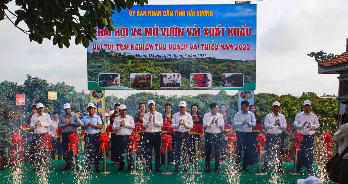 Hai Duong: Day manh xuc tien tieu thu vai thieu, nguoi dan phan khoi...“duoc mua, duoc gia“-Hinh-5