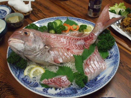 Tốc độ là yếu tố rất quan trọng, đảm bảo cá đã chết nhưng một số tế bào thần kinh vẫn hoạt động. Chính những tế bào thần kinh này khiến toàn thân chú cá co giật, mang lại cảm giác cá đang quẫy đạp.