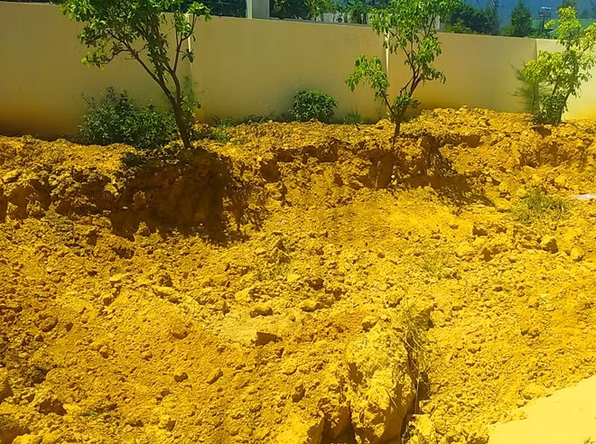 Hon 10 tan chat thai cua Formosa chon trong cong vien-Hinh-2