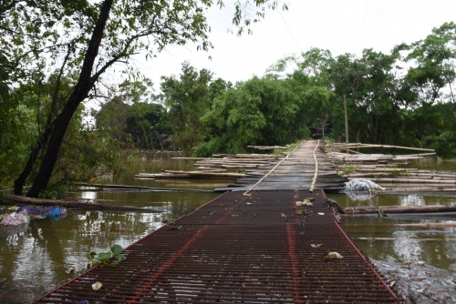 Tan muc cay cau khung khiep nhat Ha Noi-Hinh-7