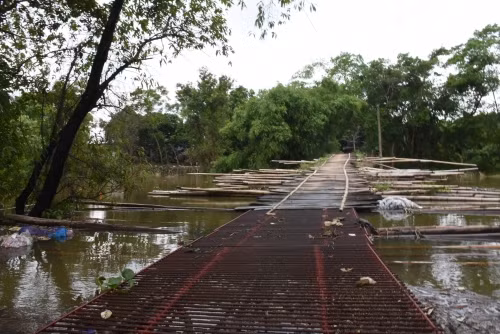 Tan muc cay cau khung khiep nhat Ha Noi-Hinh-7