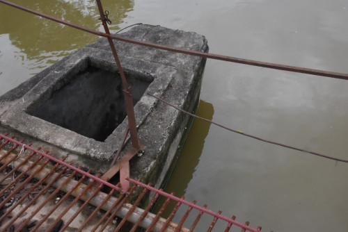 Tan muc cay cau khung khiep nhat Ha Noi-Hinh-9