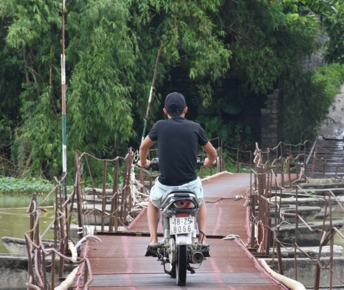 Tan muc cay cau khung khiep nhat Ha Noi-Hinh-6