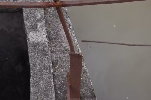 Tan muc cay cau khung khiep nhat Ha Noi-Hinh-11