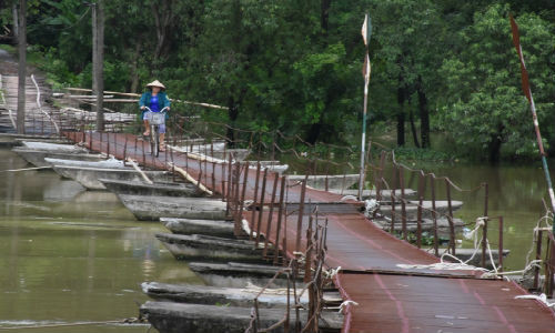 Tan muc cay cau khung khiep nhat Ha Noi