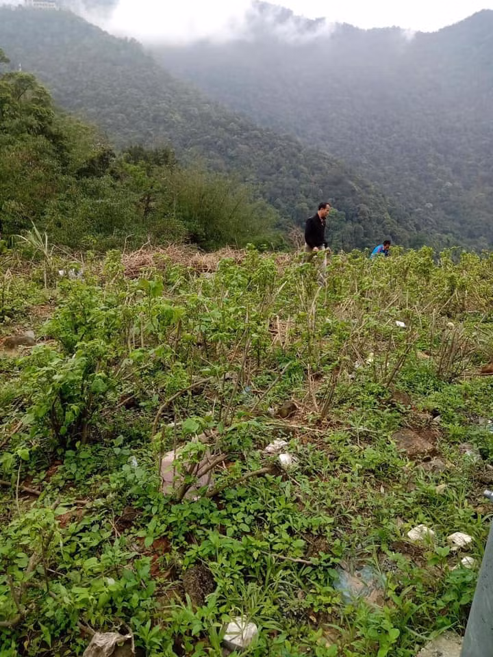 Giảm thiểu thiệt hại về người; Khẩn trương điều tra, xác minh nguyên nhân vụ TNGT, đặc biệt cần kiểm tra nồng độ cồn và ma tuý đối với người điều khiển phương tiện trong vụ TNGT.