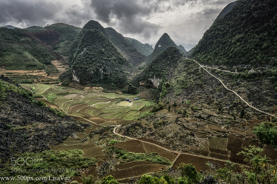 Những cung đường uốn lượn qua sườn núi và các thửa ruộng bậc thang. Ảnh: Lisa Vaz/ 500px.com.